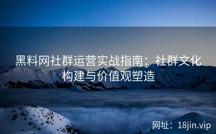 黑料网社群运营实战指南：社群文化构建与价值观塑造