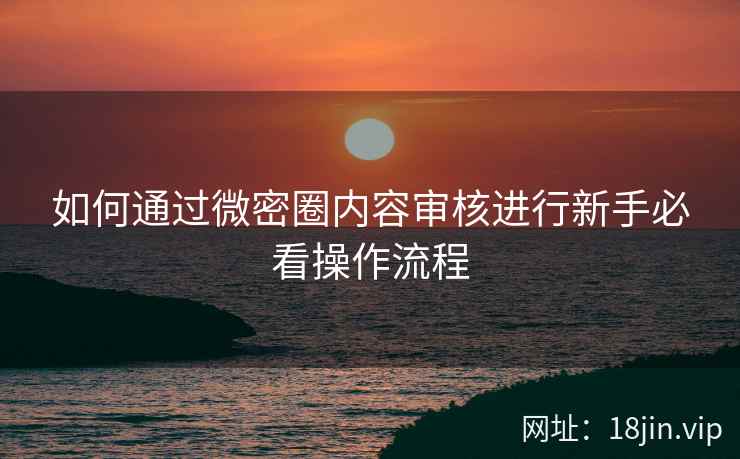 如何通过微密圈内容审核进行新手必看操作流程