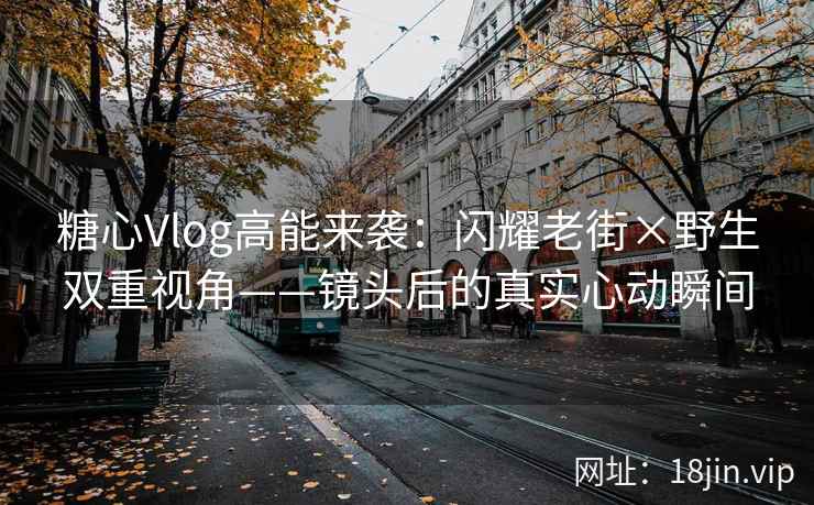 糖心Vlog高能来袭：闪耀老街×野生双重视角——镜头后的真实心动瞬间
