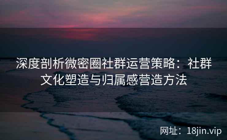 深度剖析微密圈社群运营策略：社群文化塑造与归属感营造方法