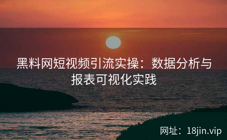 黑料网短视频引流实操：数据分析与报表可视化实践