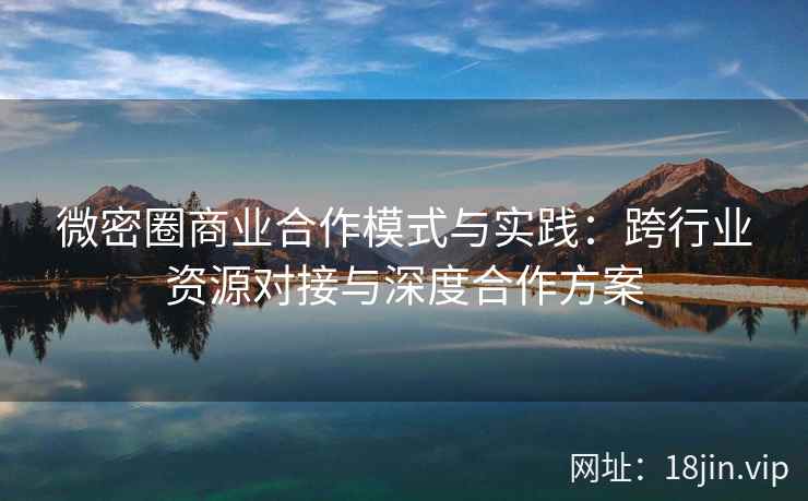 微密圈商业合作模式与实践：跨行业资源对接与深度合作方案