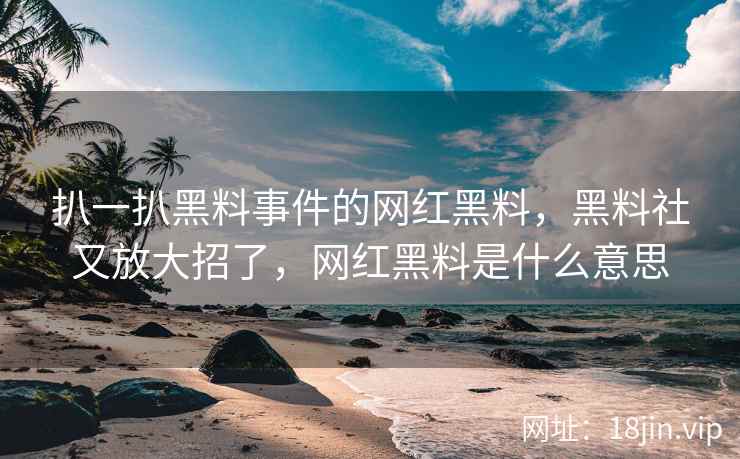 扒一扒黑料事件的网红黑料，黑料社又放大招了，网红黑料是什么意思