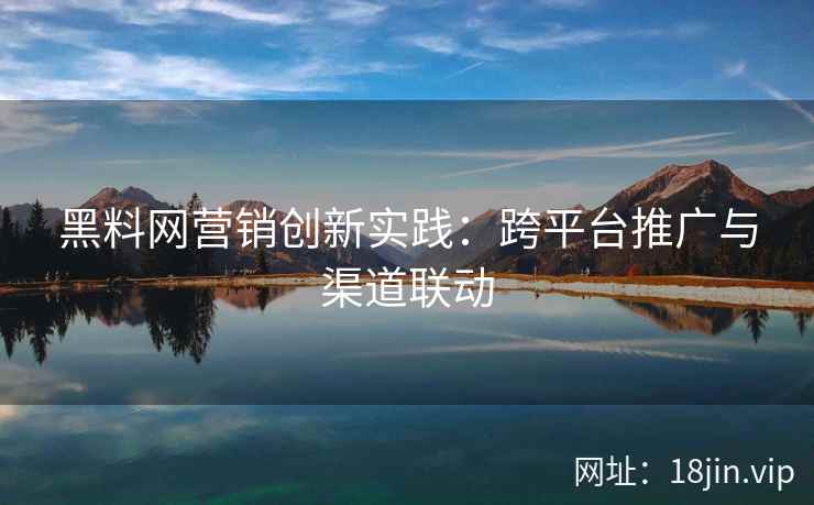 黑料网营销创新实践：跨平台推广与渠道联动