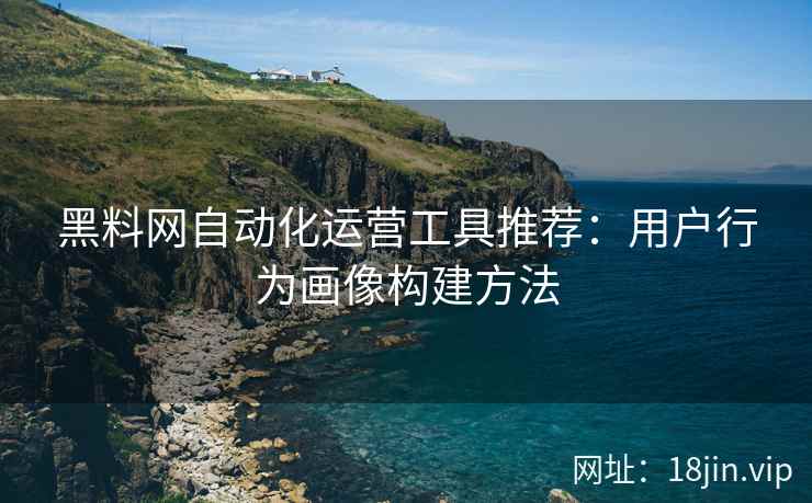 黑料网自动化运营工具推荐：用户行为画像构建方法