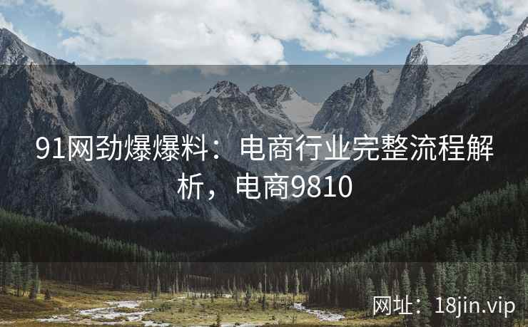 91网劲爆爆料：电商行业完整流程解析，电商9810